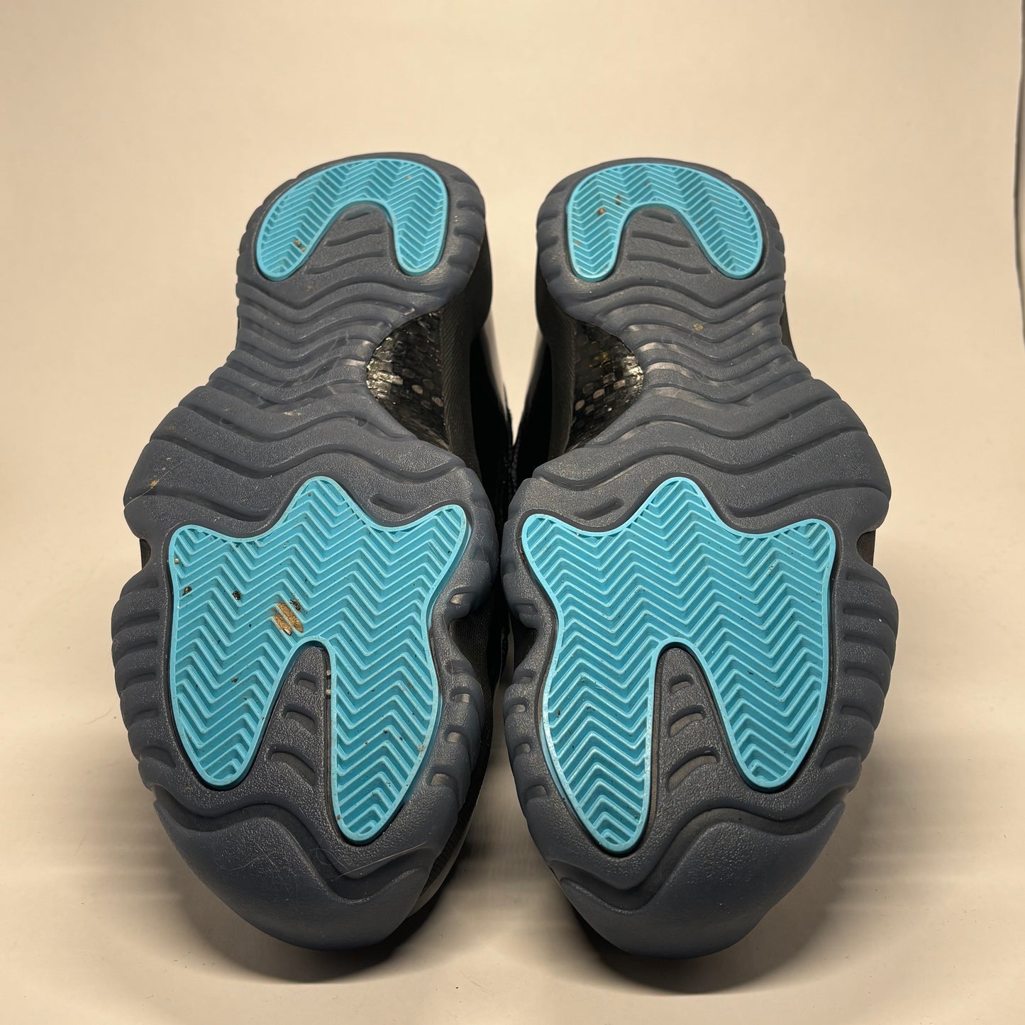 Jordan 11 Gamma Used