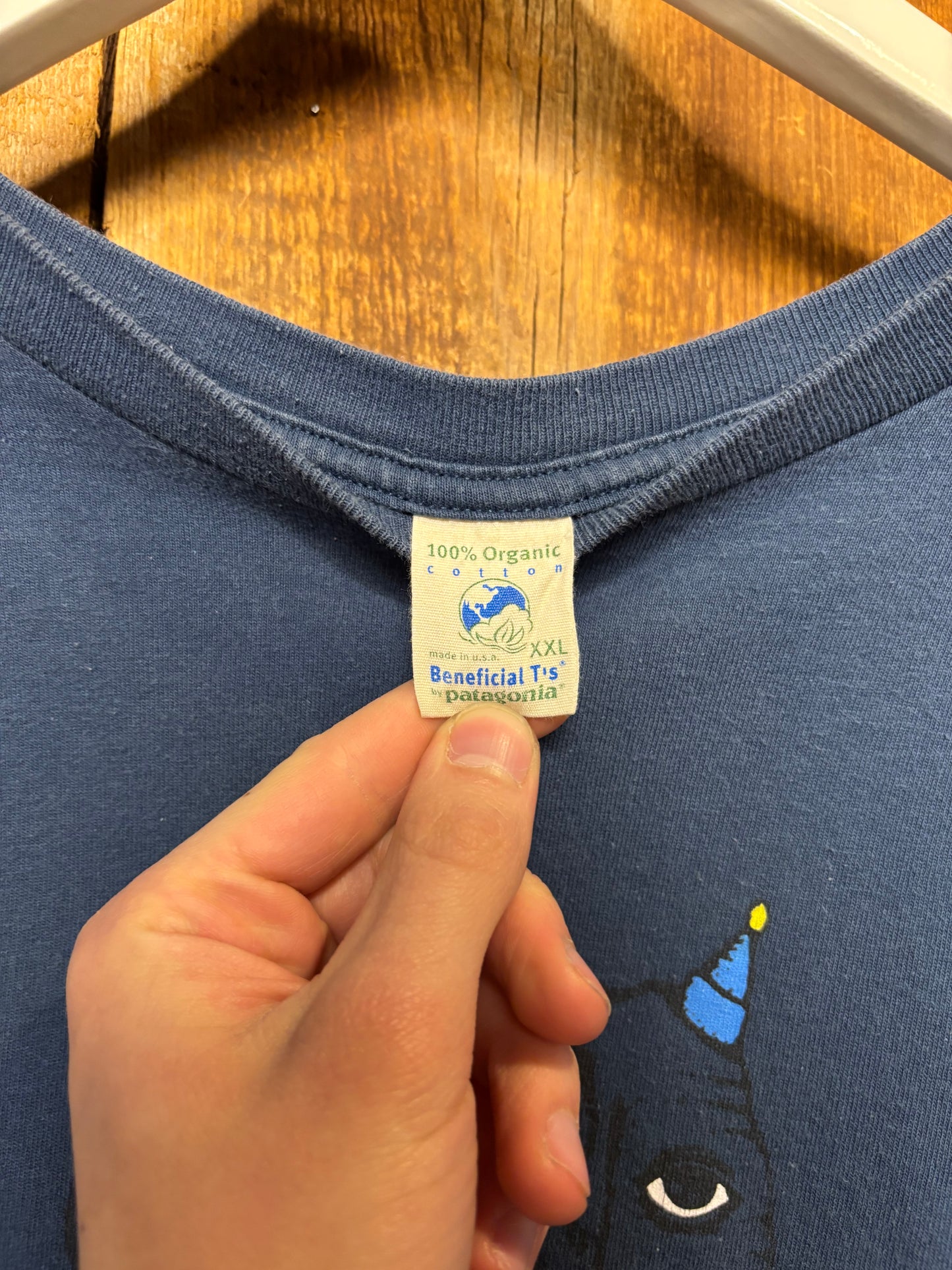 vtg Phish Patagonia Tour XXL