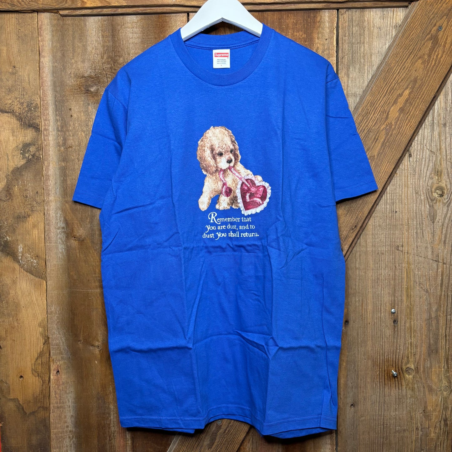 Supreme Dust Tee Blue DS