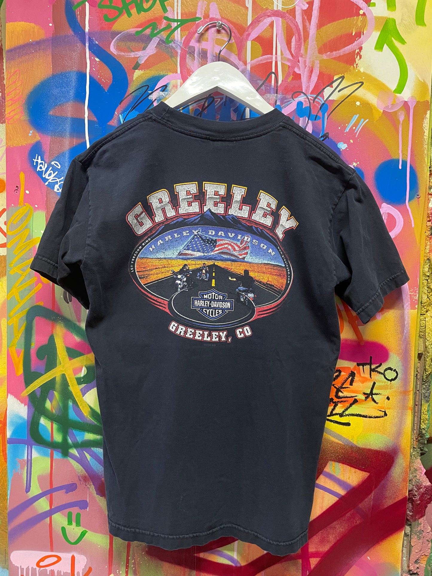 2003 Harley Davidson Greeley, CO