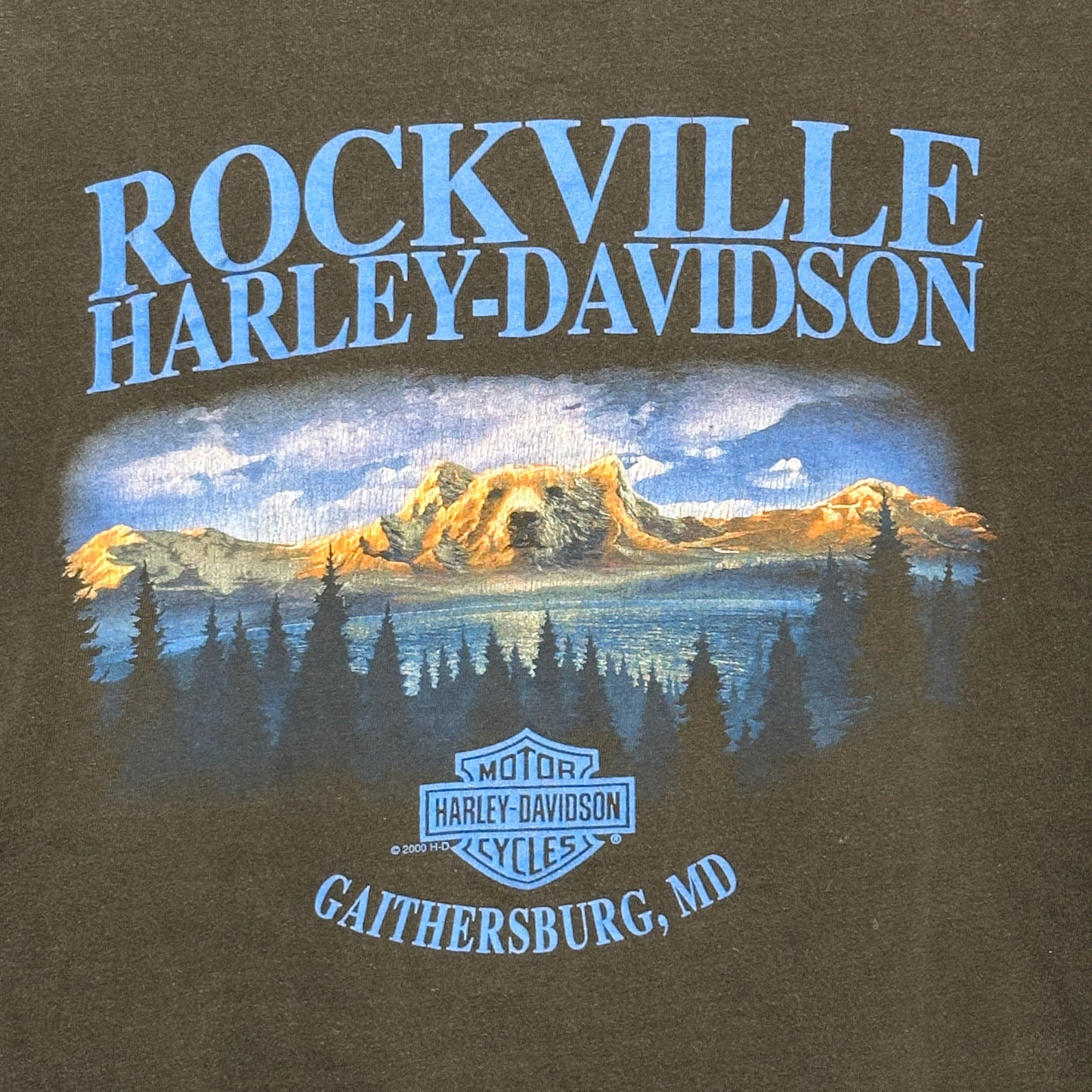 vtg Harley Davidson