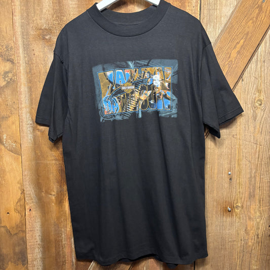 1996 HD Harrisburg, PA Tee  DS