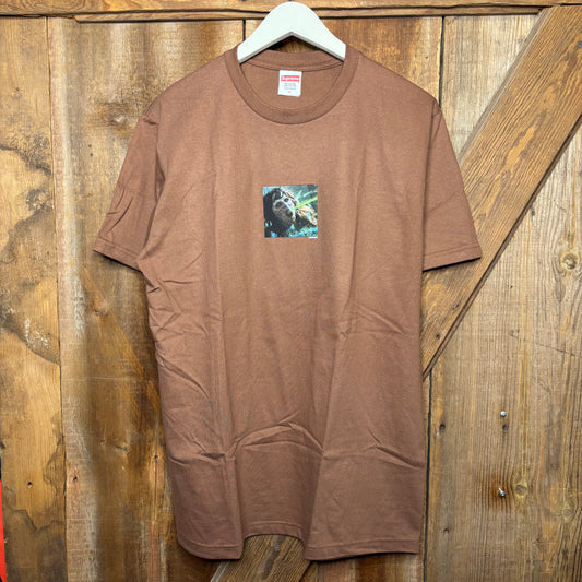 Supreme Exorcist Puke Tee Brown DS