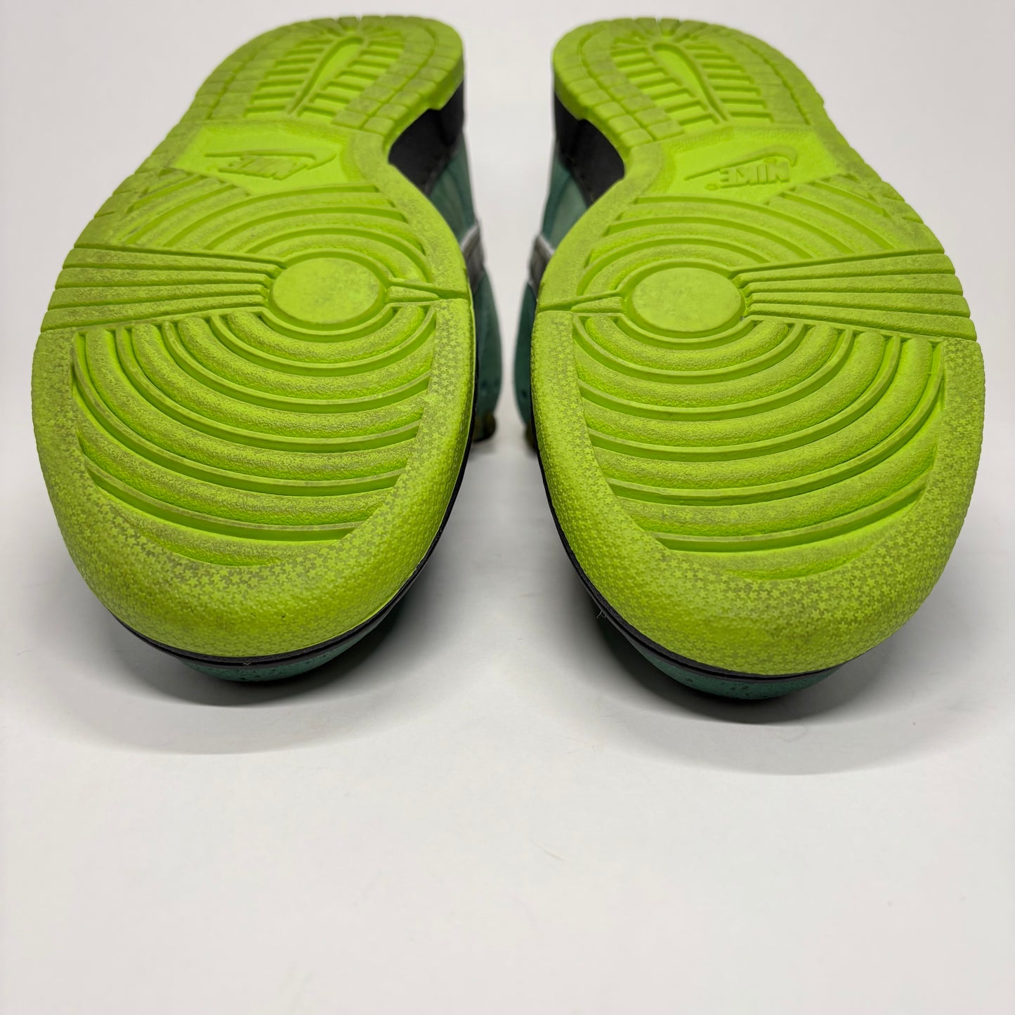 Nike SB Dunk Low Green Lobster Special Box Used