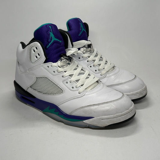 Jordan 5 Grape Used