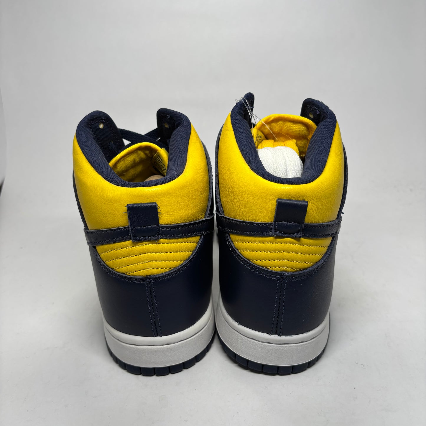 Nike Dunk High Michigan Sz 10 DS