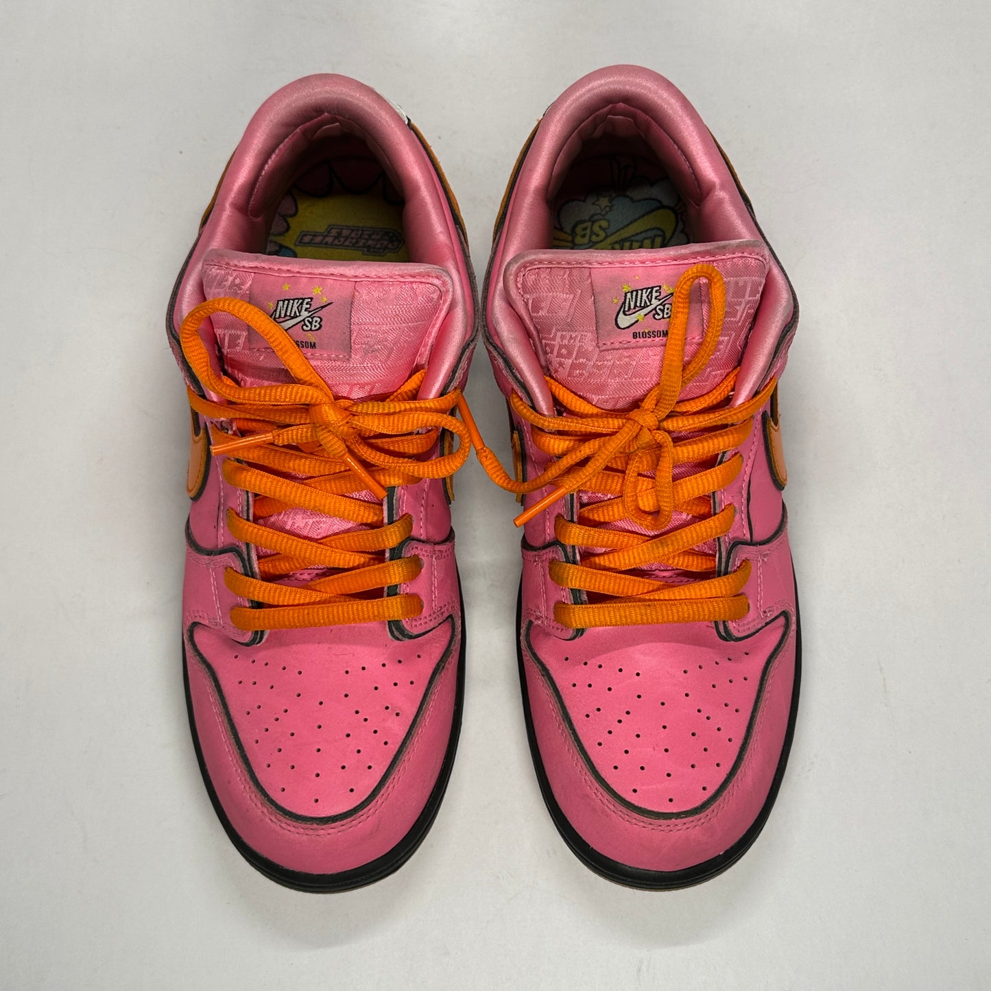 Nike SB Powerpuff Girl Blossom Used