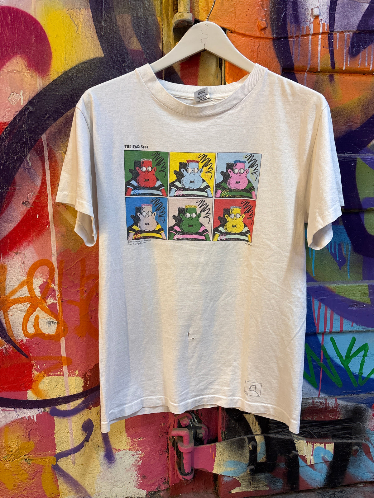 1991 The Far Side Pop Art