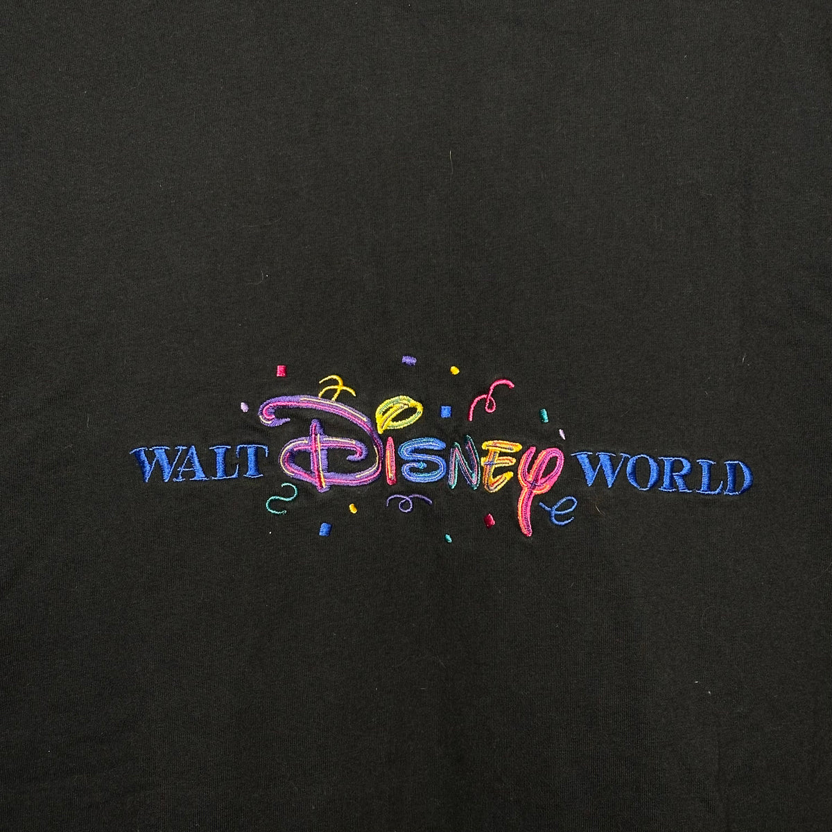 90s Walt Disney World Embroidery