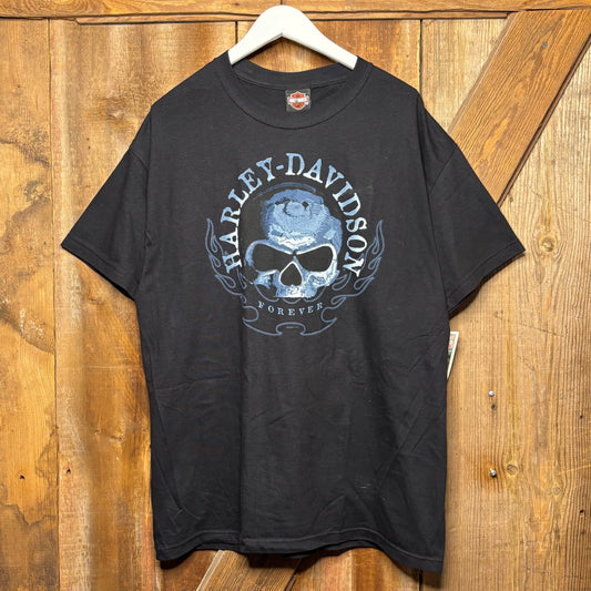 2005 Harley Davidson Skull