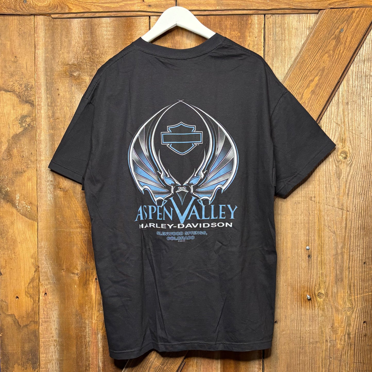 2005 Harley Davidson Skull