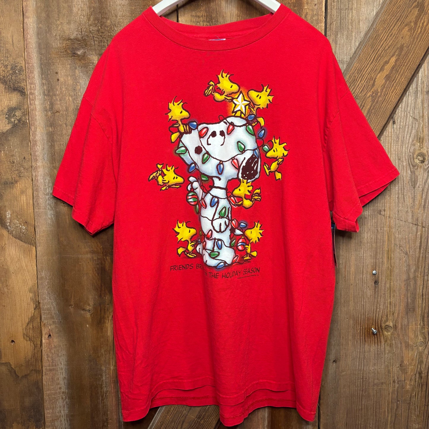 y2k Snoopy Woodstock Lights Gel Print
