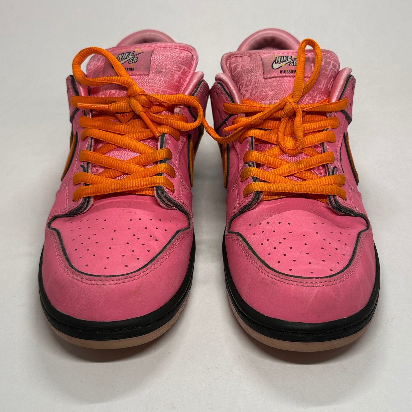 Nike SB Powerpuff Girl Blossom Used