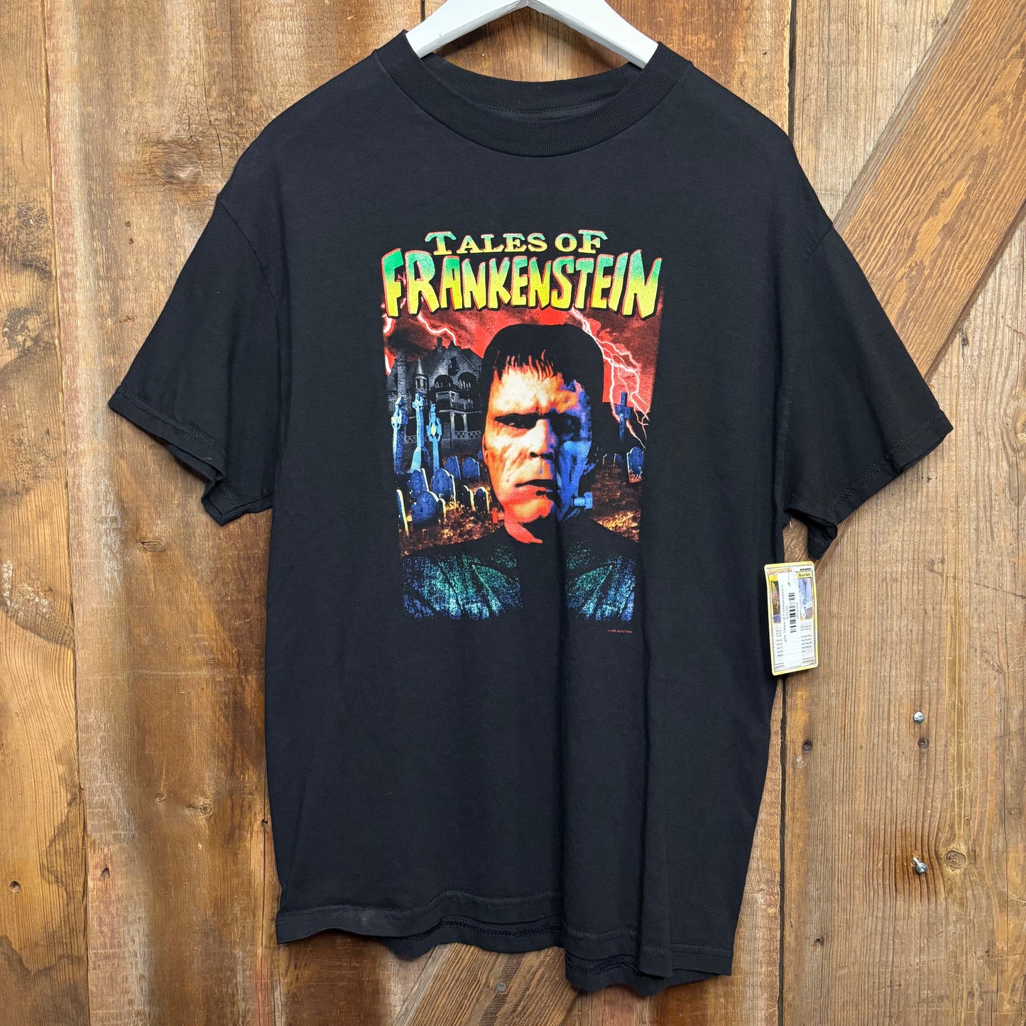 y2k Tales of Frankenstein L