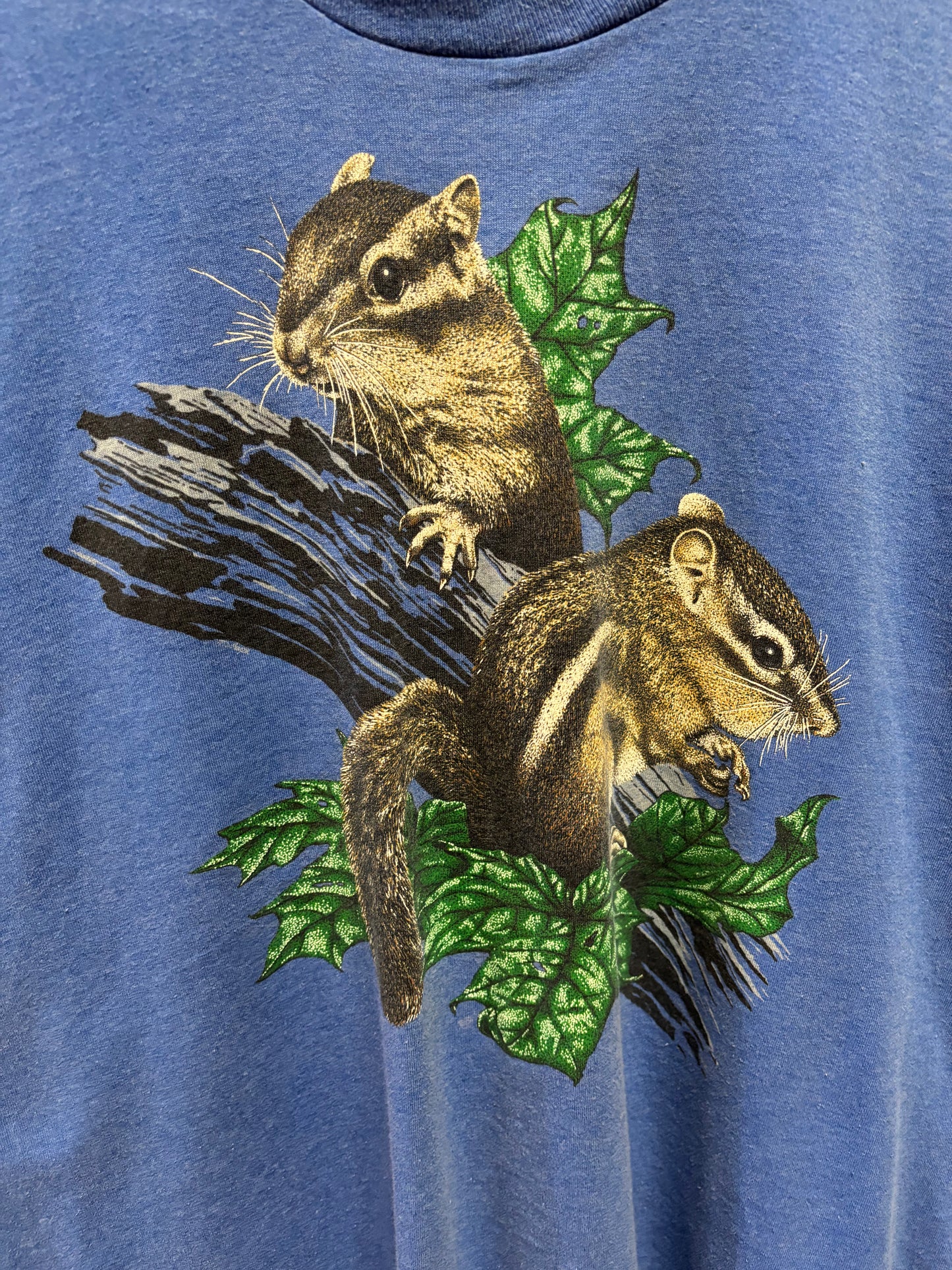 1989 Squirrel XL
